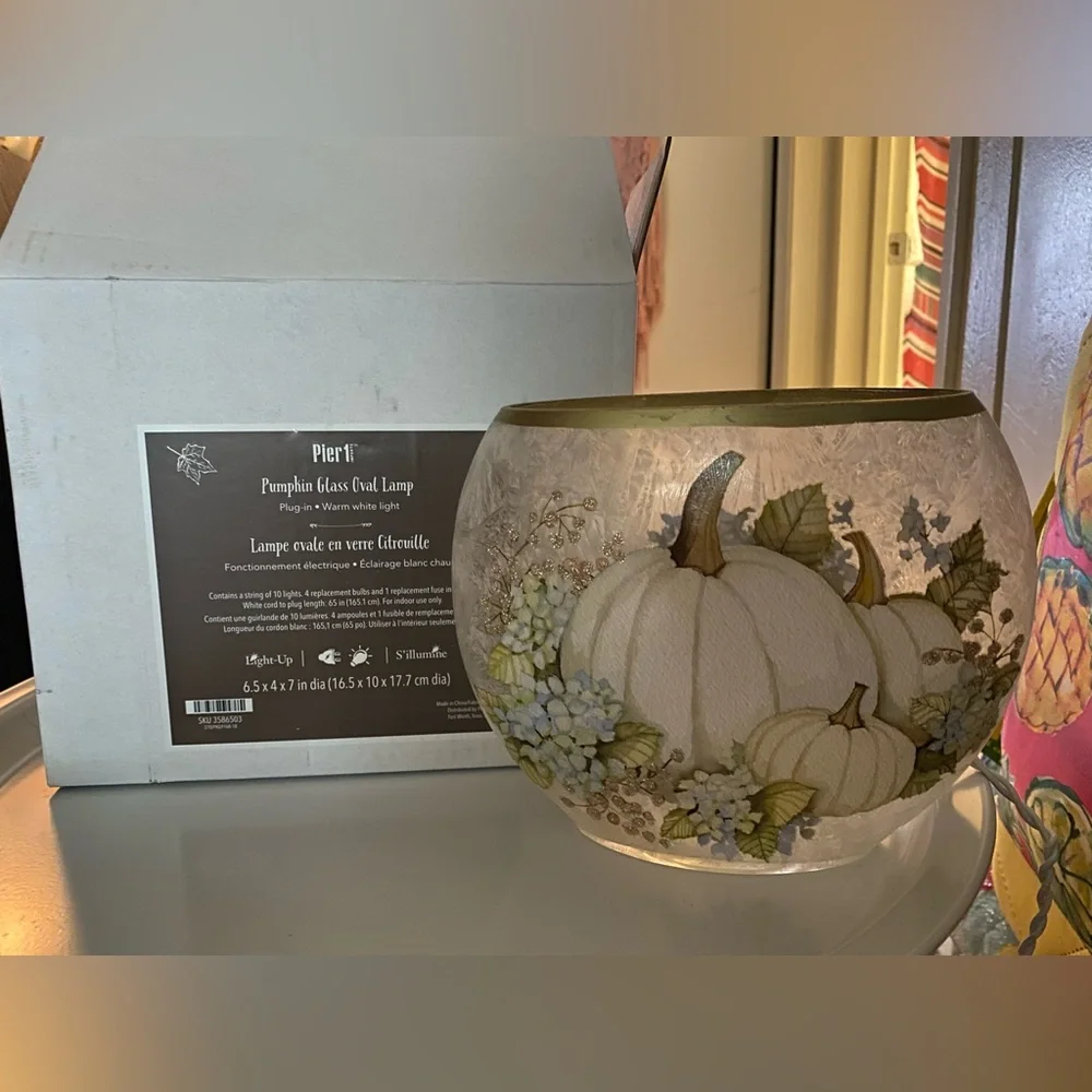 New! Pier 1 pumpkin lamp fall decor - Picture 4 of 5